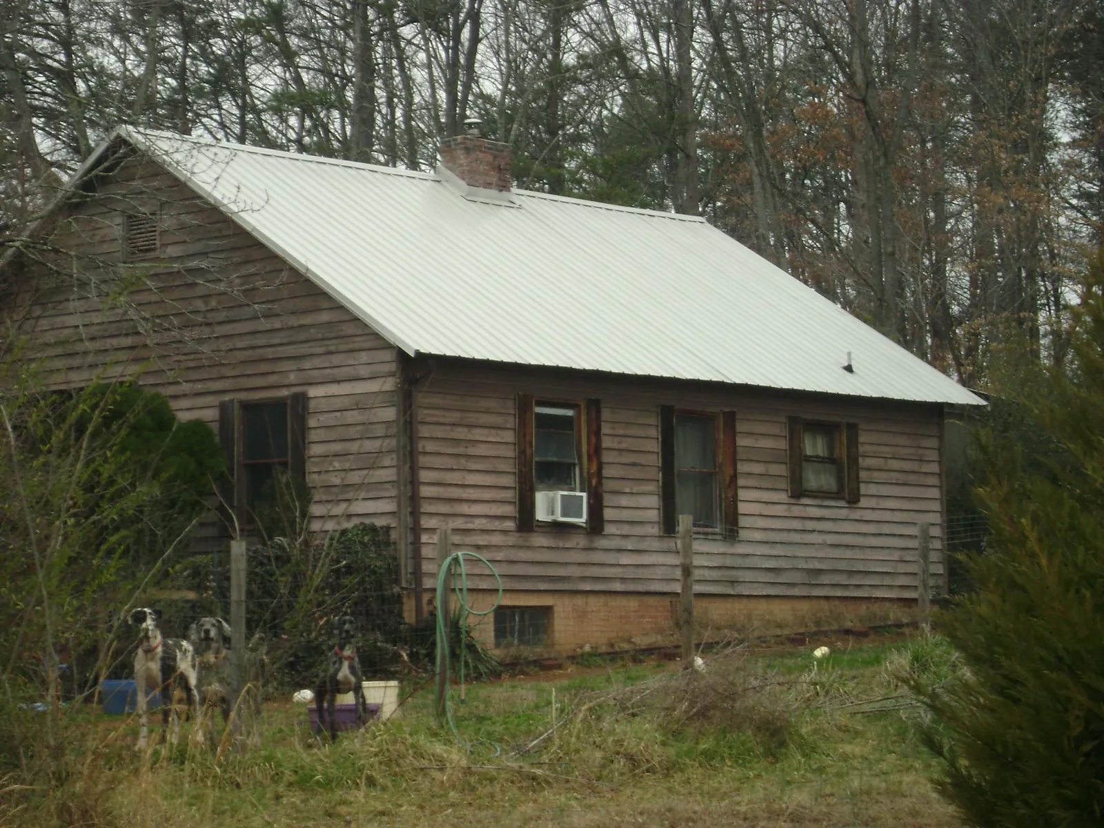 White metal roof on an old wood sided farmhouse, from a Asphalt Shingle Roof Repair job in Palmersville